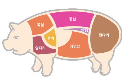 파일:산수신체구조.png